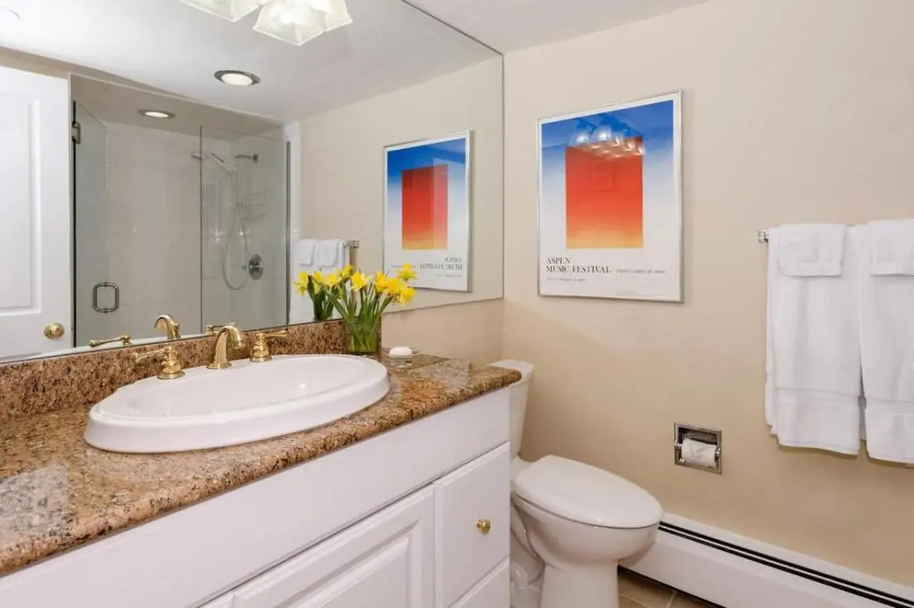 Aspen Alps Apartment #204