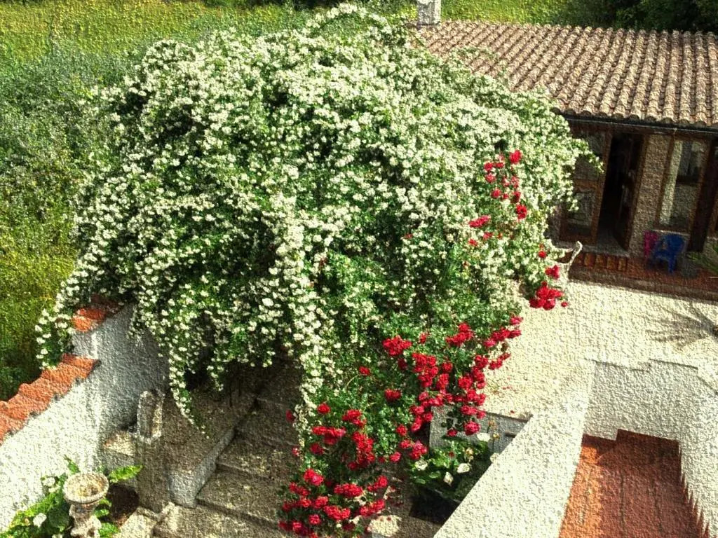 Casetta Delle Muse