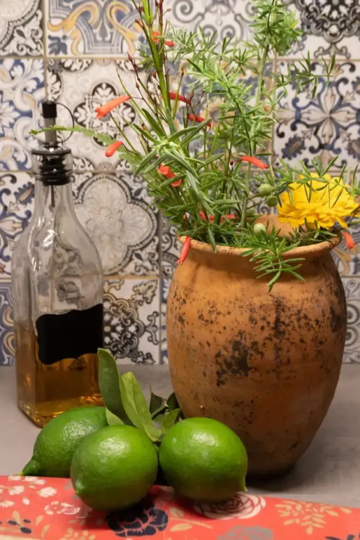 Casa Maiz