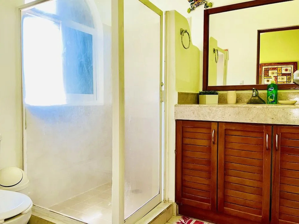 Gorgeous 22 People Villa With Pool Playacar Phase 2
