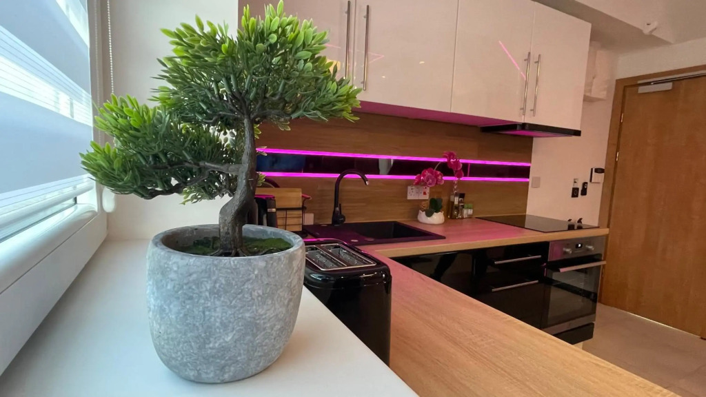 #3 TGHA Luxury One Bedroom Apartment in Athlone