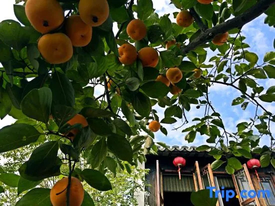 Shiyuan Inn