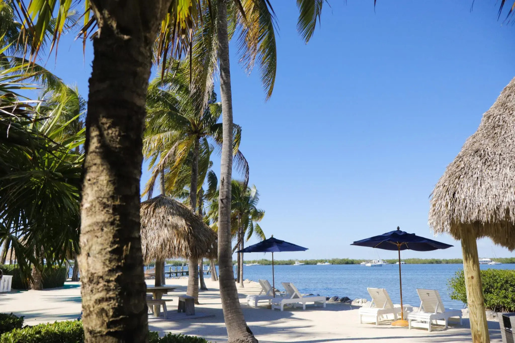 Coconut Palm Inn