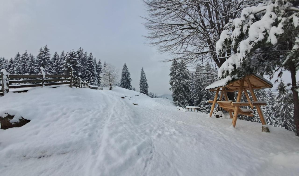 Pension Cabana Ionela