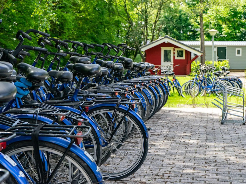 Well-maintained chalet on the outskirts of a holiday park, near Amsterdam