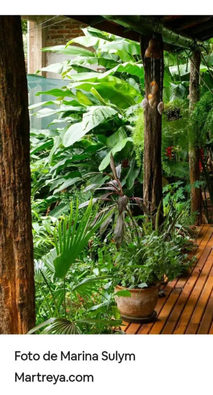 Jardín de Naipí 2