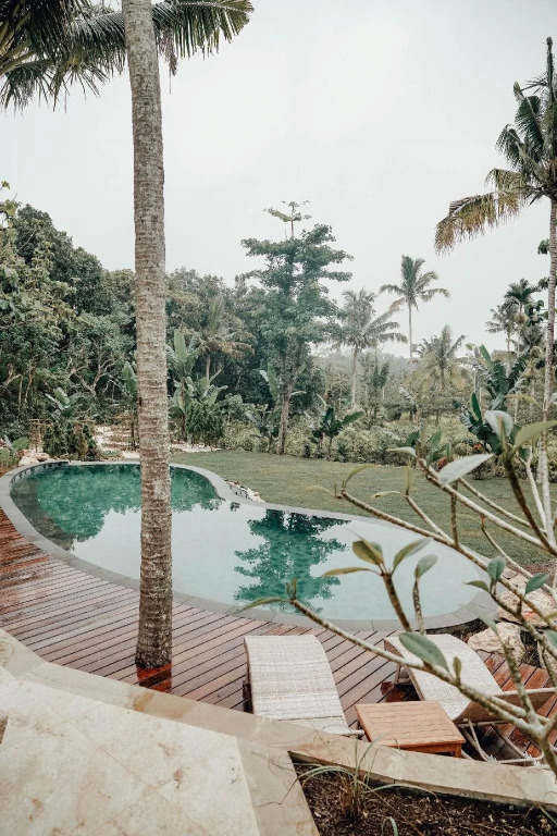 The Mesare Jungle Resort
