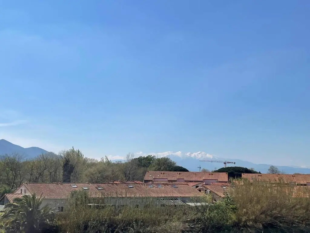 Appartement Argelès-sur-Mer, 1 pièce, 4 personnes - FR-1-225-91