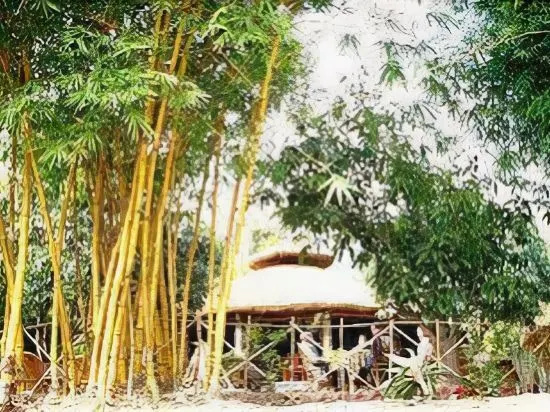 Tiger Camp