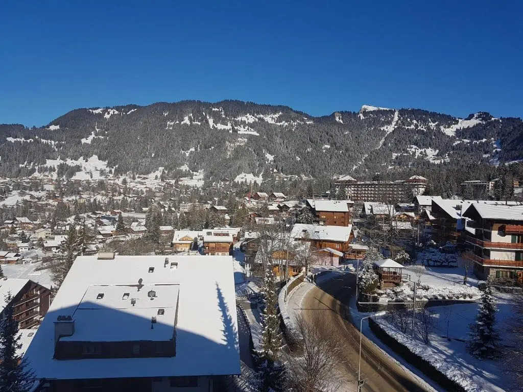 Studio 166 Le Bristol Villars
