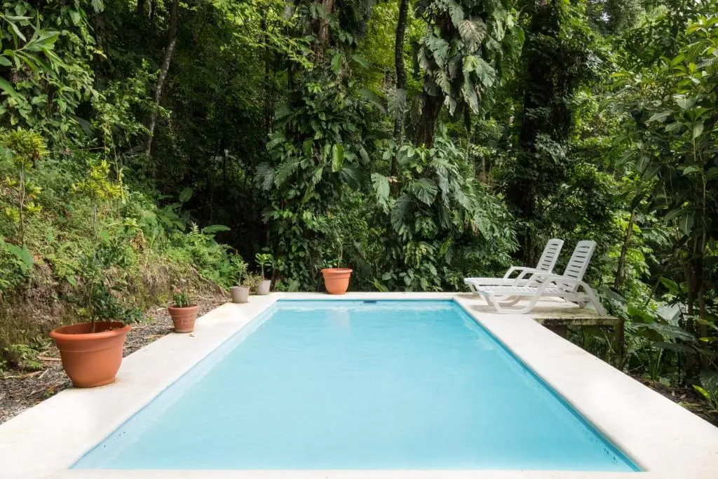Kiskadee Casa