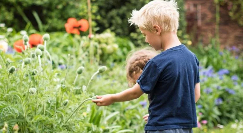 Huntstile Organic Farm