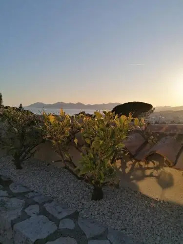 Villa Des Cinq Palmiers