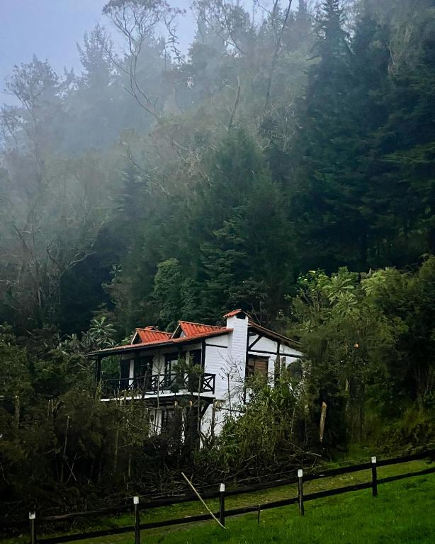 Estancia De La Campiña