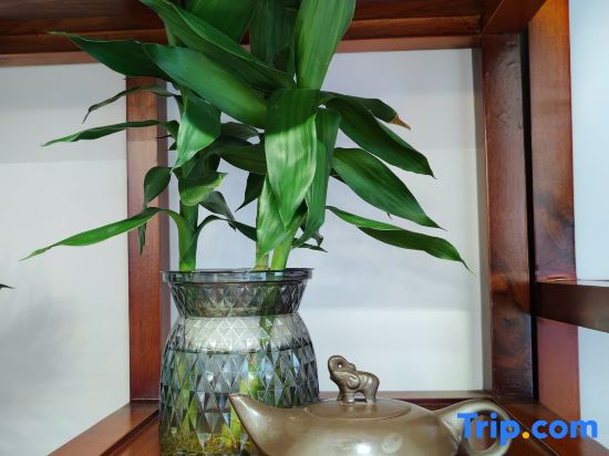 Phoenix Ancient City Warm Heart Pavilion Homestay