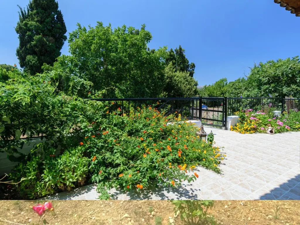 Diogenis Residence Fountain