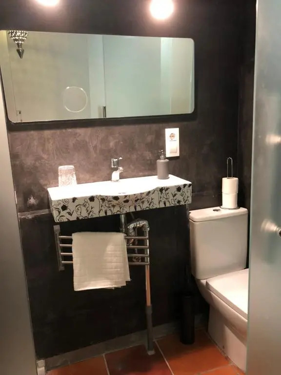 Loft Alcaide 9