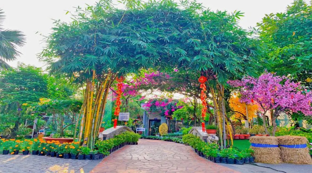 Thanh Dat Resort