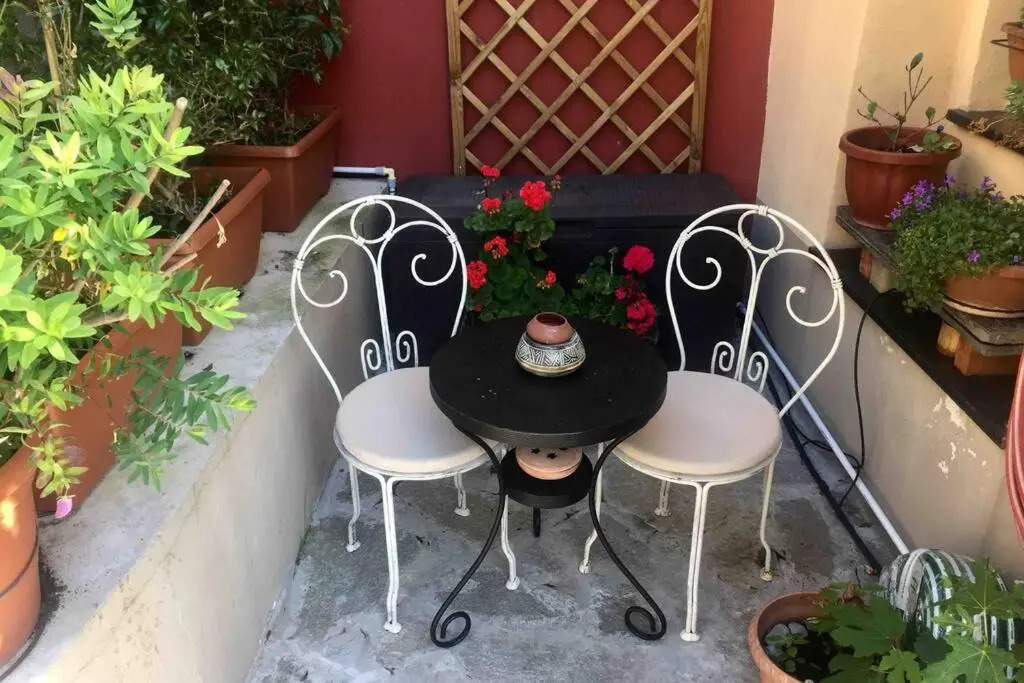 GIARDINO IN CENTRO Fico Magico CITRA 1935