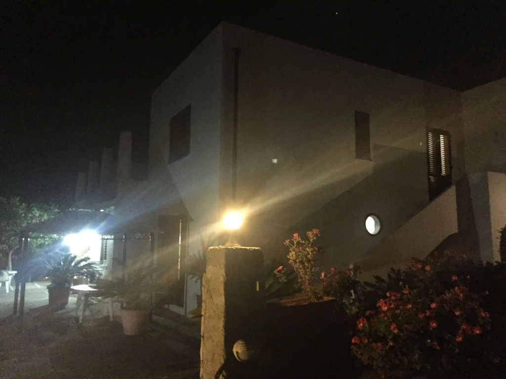 Casa Papiro