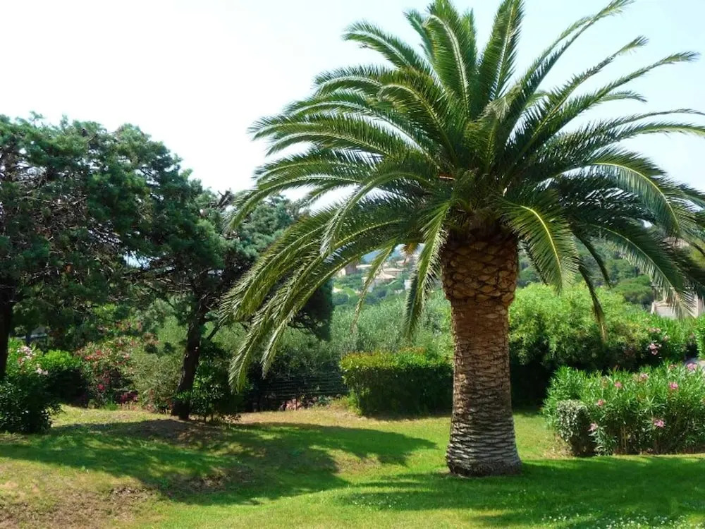 Apartment With 2 Bedrooms in Sainte Maxime, With Wonderful sea View, P