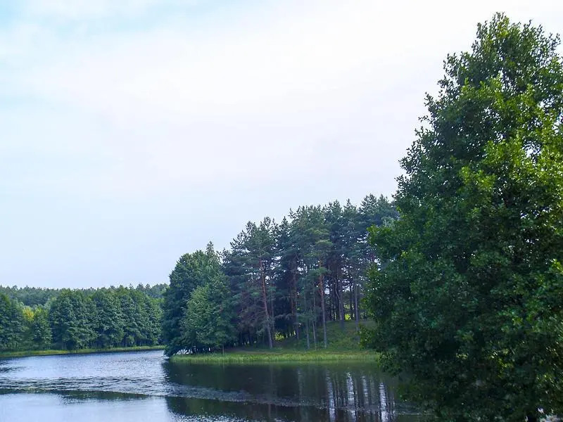 Romantic Attic Apartment Druskininkai