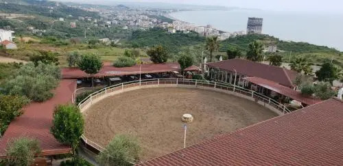 Kodra e Kuajve