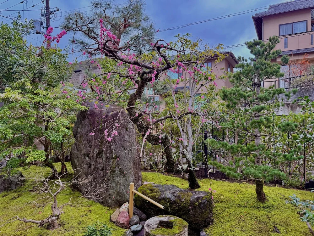 Haku Yase