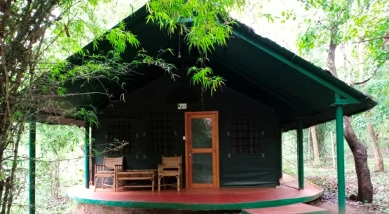 Jungle Lodges And Resorts- Sakrebyle Elephant Camp
