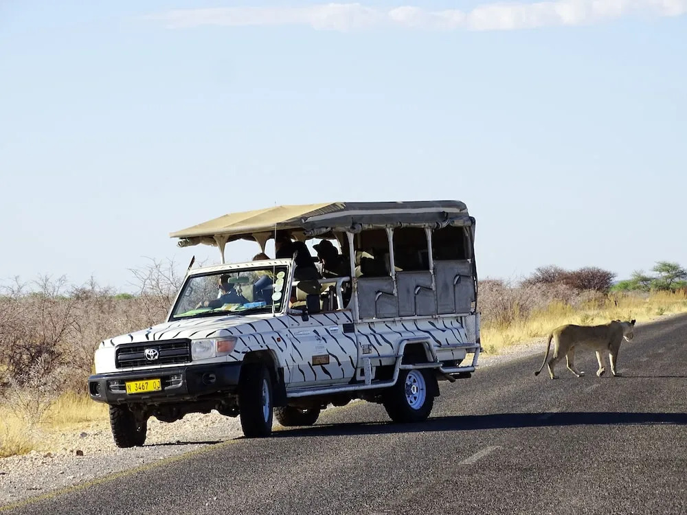 Etosha Safari Campsite