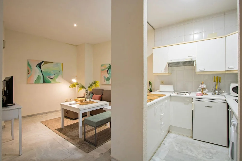 Apartamento San Vicente Central