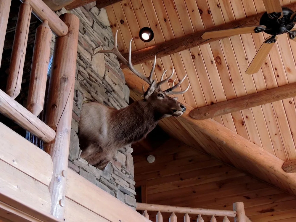 Bear Foot Lodge 4 Bedrooms 4.5 Bathrooms Cabin