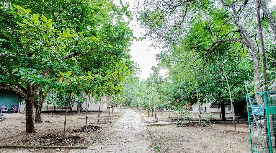 Bannerghatta Nature Camp-Jungle Lodges