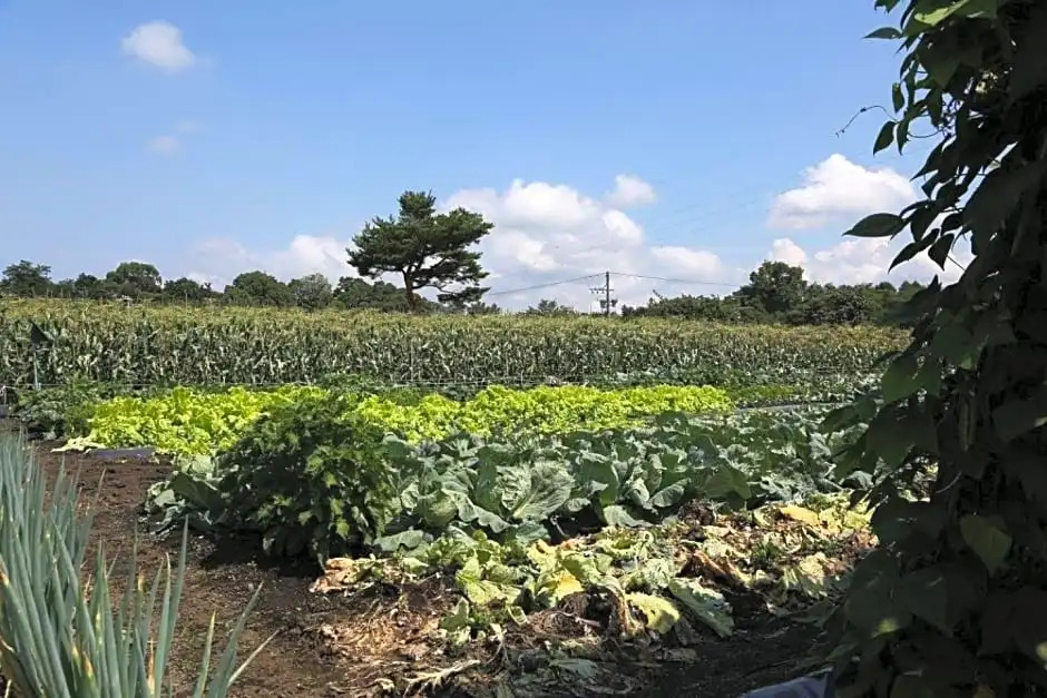 Resort Inn Green Karuizawa - Vacation STAY 15121v