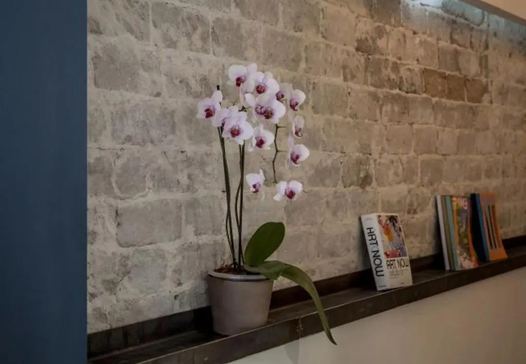 Charming 2BR in Tsvi Brock 6 by HolyGuest