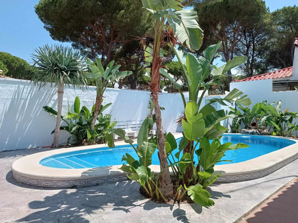 El agave lujo y relax en la playa