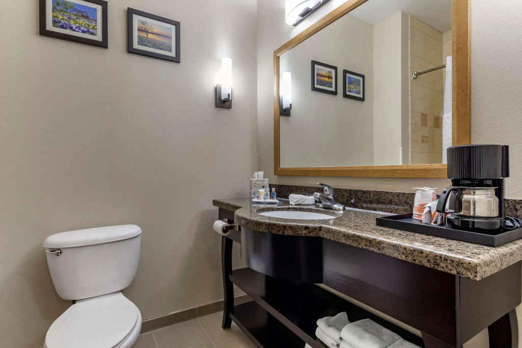 Comfort Suites Plano - Dallas North