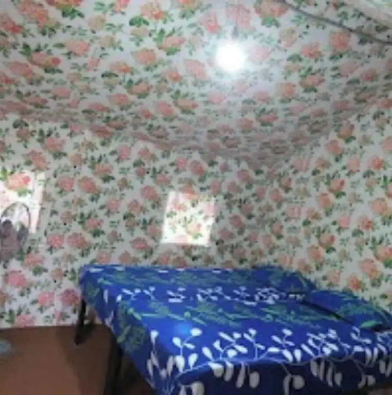 Camp Kalsi
