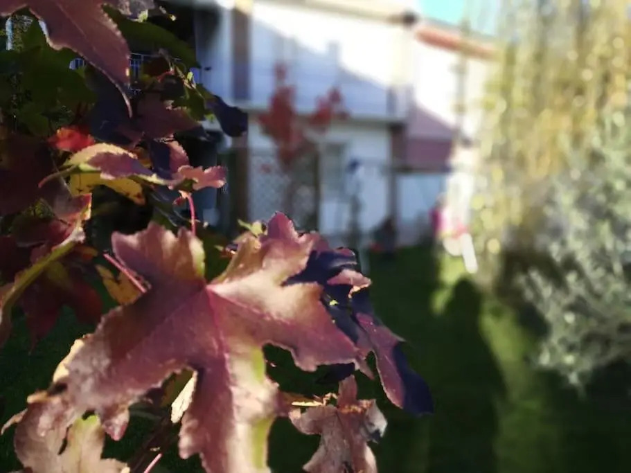 Casa Cybèle