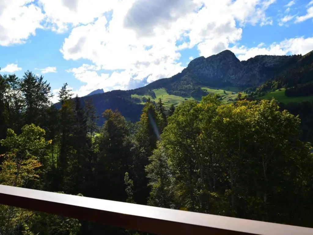 Appartement Le Grand-Bornand, 1 pièce, 4 personnes - FR-1-241-12