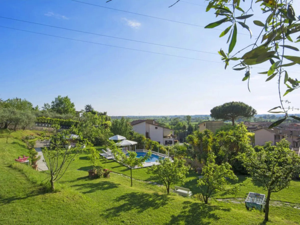 House Olivo Massarosa
