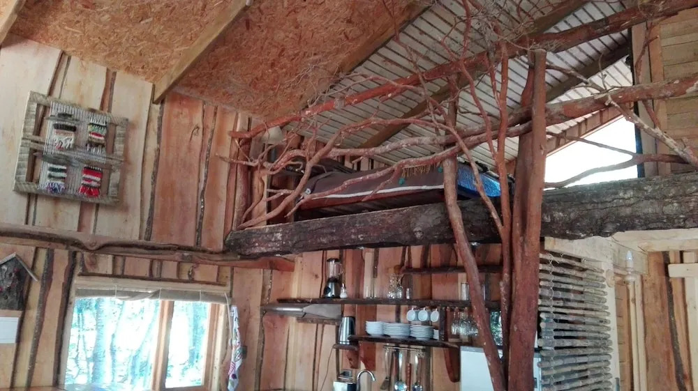 Wonderful rustic cabin, with native trees, with Rio Trancura, equipped