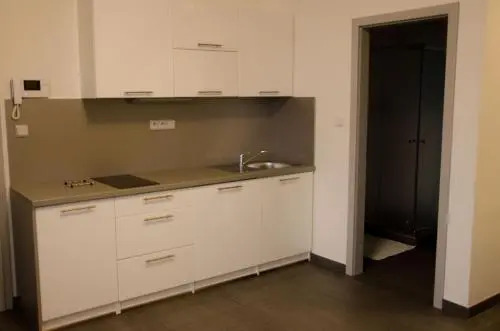 Apartment Lidická Slavkov, 4 person