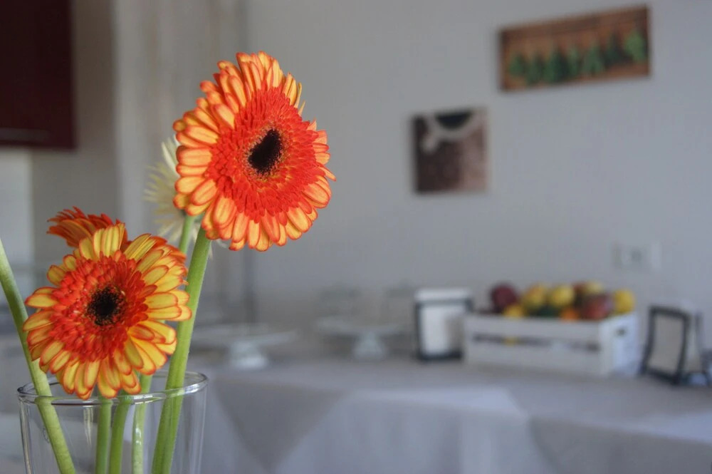 Arome B&B