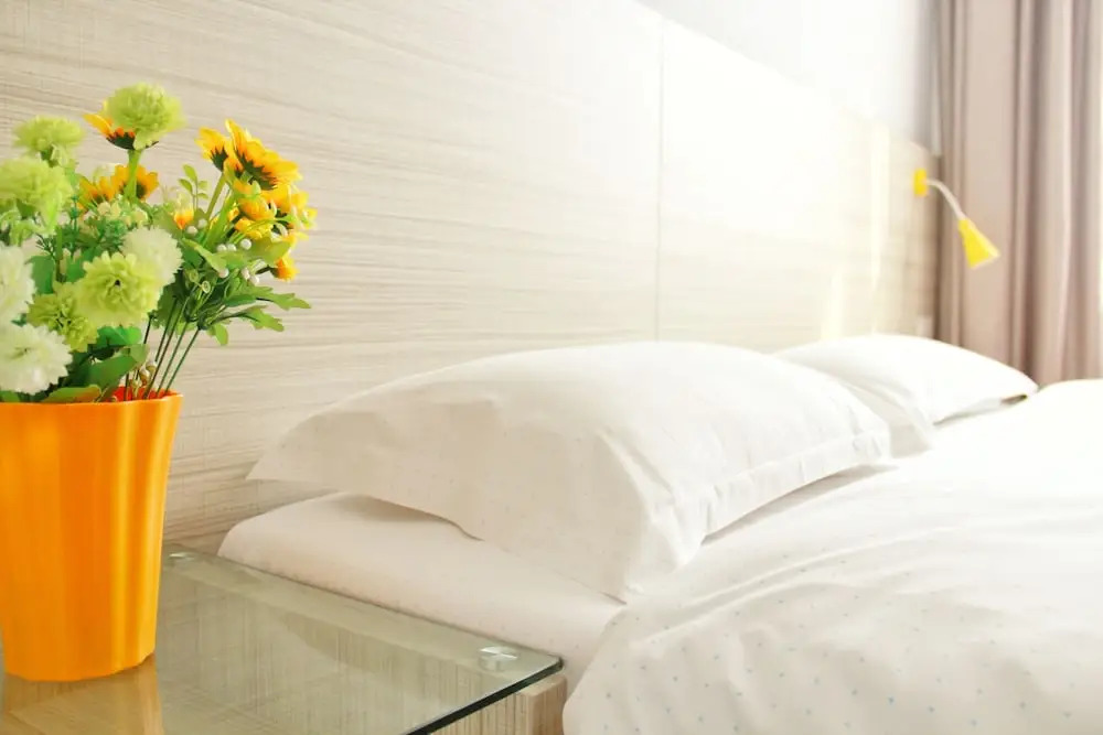 Wenxing Chain Hotel Chancheng Dongfang