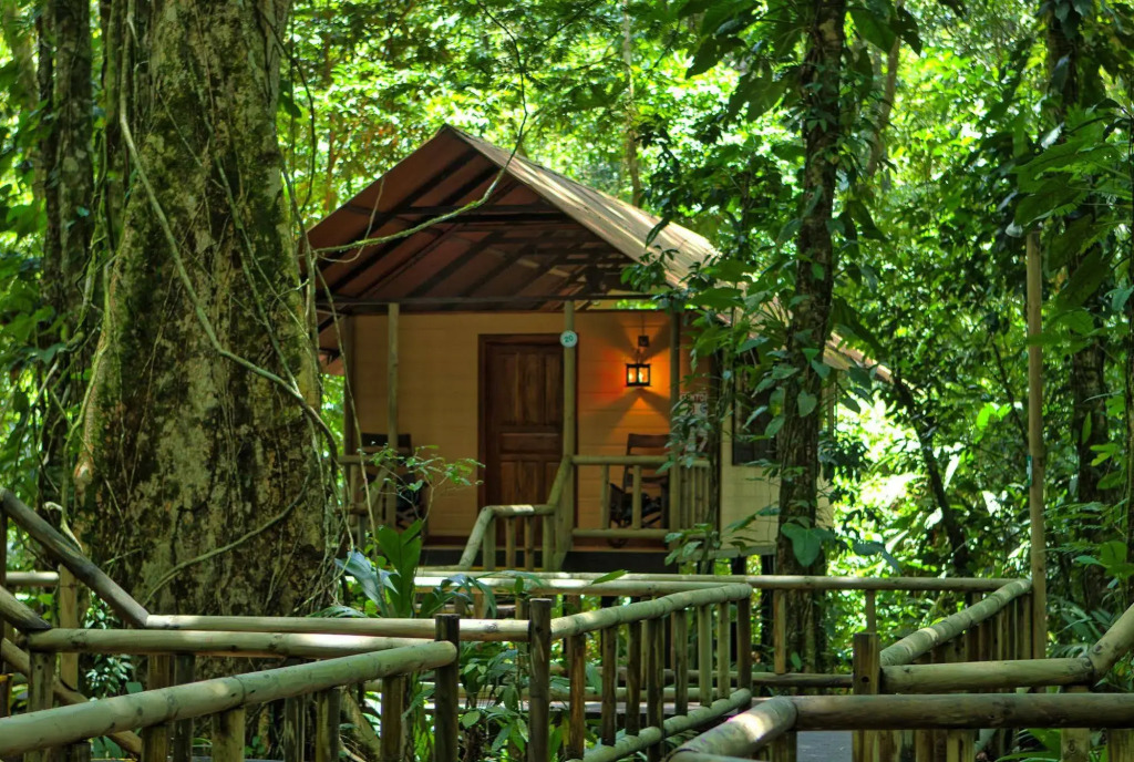 Evergreen Lodge