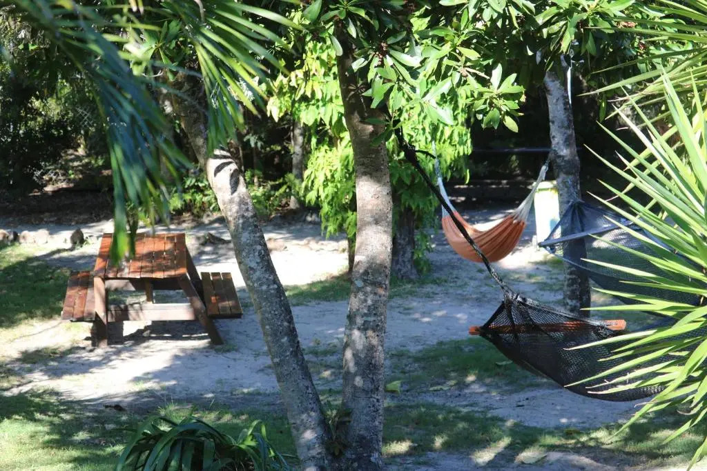 Backpackers Inn On The Beach
