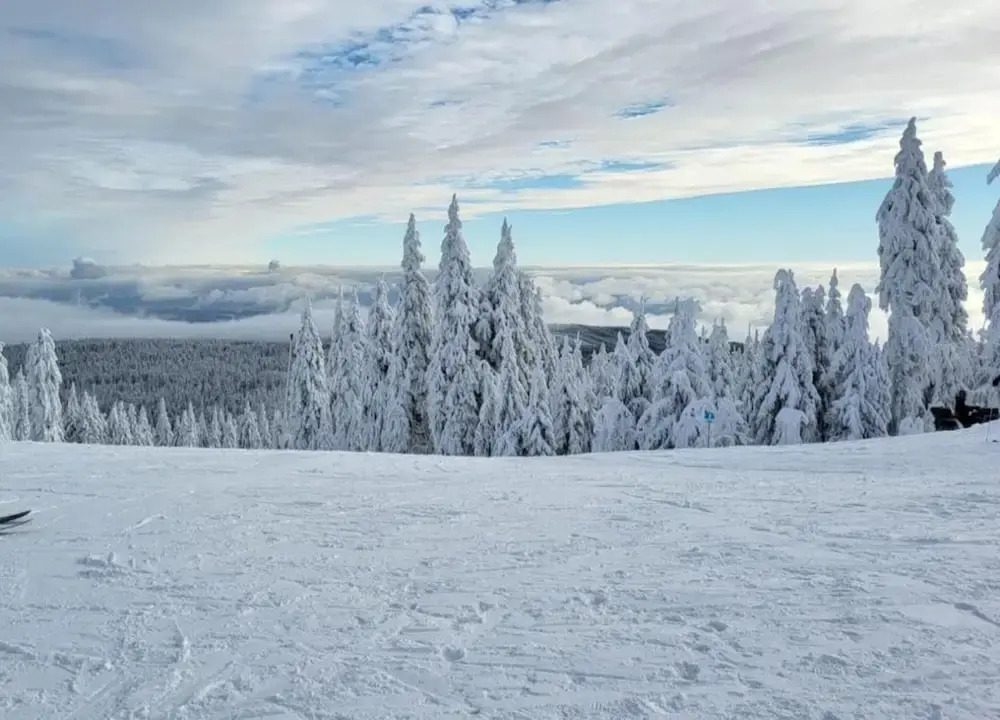 Holiday Home Medenec near Alšovka Ski Slope