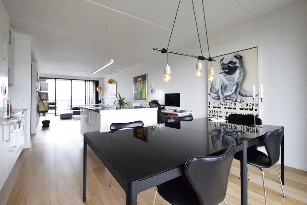 Modern Apartment in Copenhagen Sluseholmen With a Marvellous View