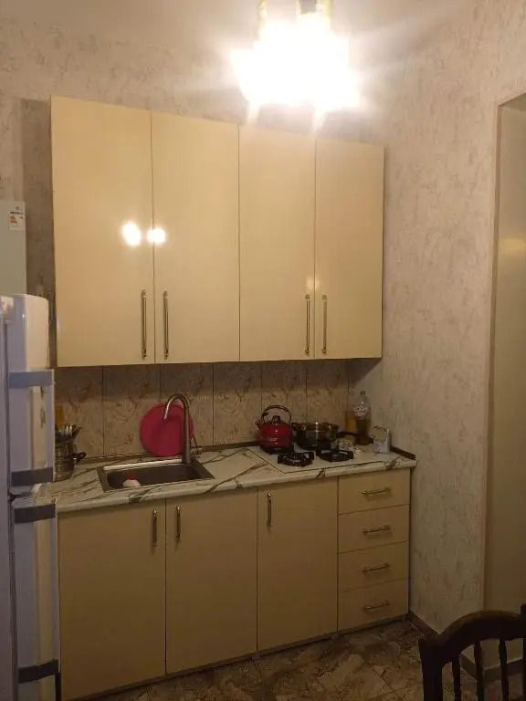 Amazing apartment in Signagi